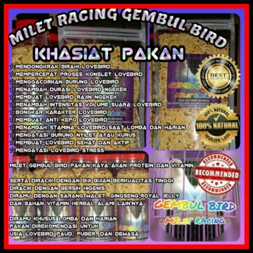 PAKAN LOVEBIRD KONSLET / PAKAN LOVEBIRD DOSIS TINGGI / PAKAN LOVEBIRD GACOR / MILET RACING GEMBUL BI