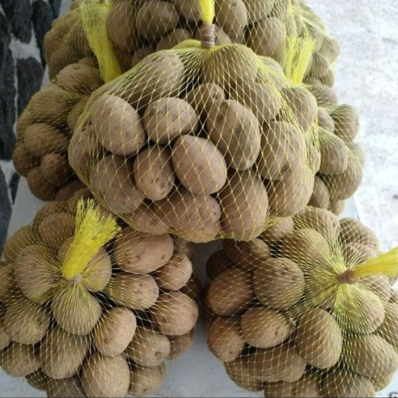 

Terpercaya Kentang Dieng Mini Kecil 1Kg Isi Lebih Banyak Kualitas Sama Cocok Untuk Diet