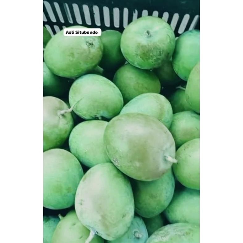 

Keuntungan (Promo) Mangga Mardi /Mangga Apel Asli Situbondo Berat 1Kg