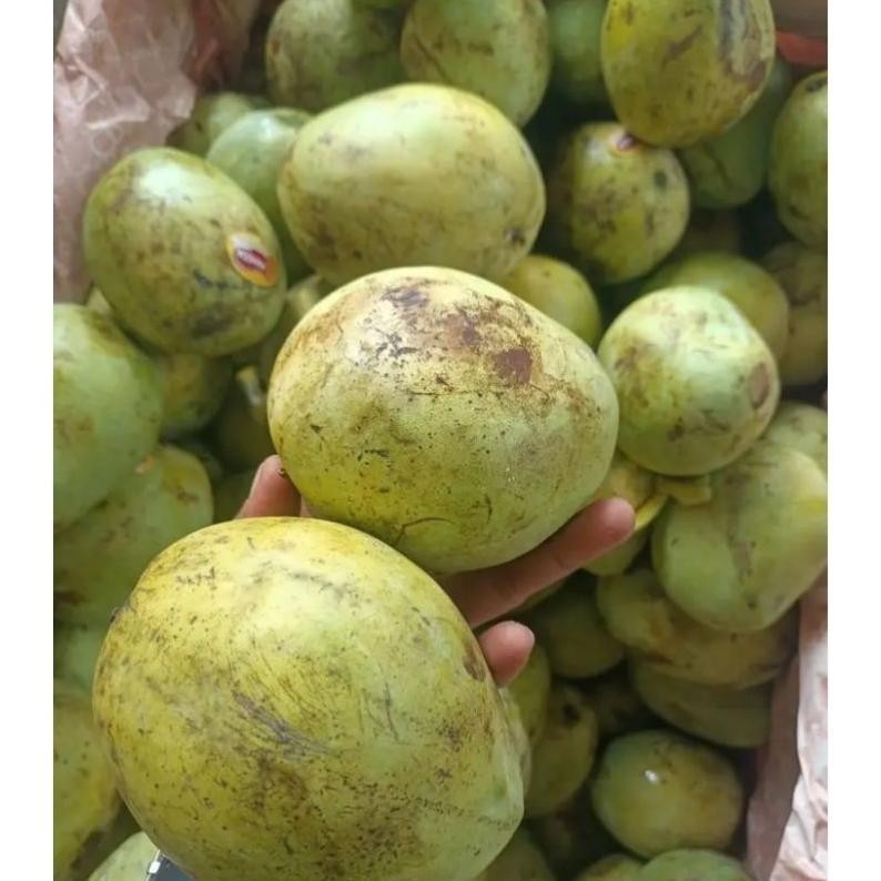 

Momen Spesial Mangga Indramayu Mengkel Tua Dan Muda Harga 1Kg