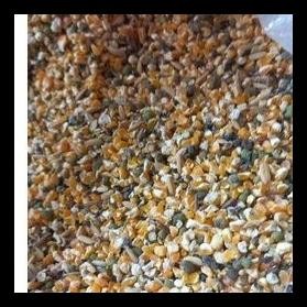 JAGUNG CAMPUR GABAH MERAH KILOAN MAKANAN BURUNG DERKUKU PUTER AYAM KATE AYAM BANGKOK DLL