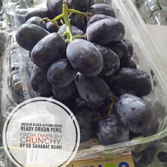 

READY BUAH ANGGUR HITAM BLACK AUTUMN TANPA BIJI