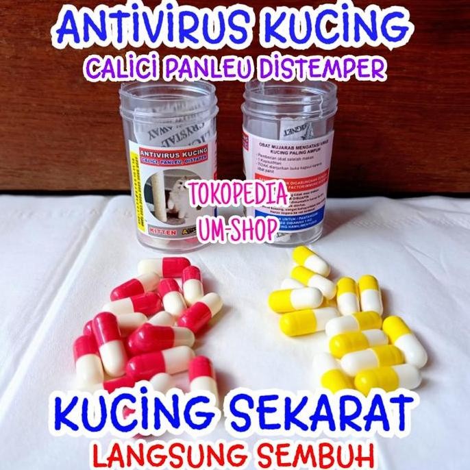Obat Antivirus Kucing Calici Distaper Virus Panleukopenia
