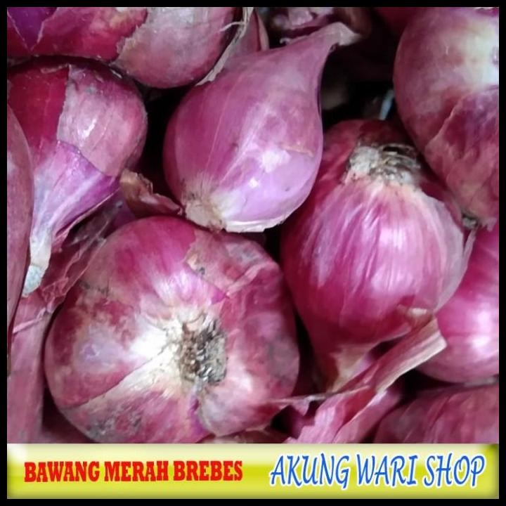 

Terlaris Bawang Merah Brebes Super / Kemasan 1 Kg Good Quality