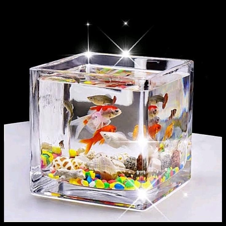 AQUARIUM MINI KACA MINIMALIS / AKUARIUM IKAN KECIL AESTHETIC