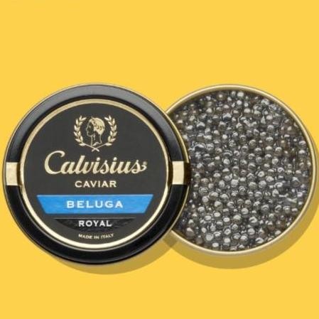 Terlaris Calvicius Beluga Royal Caviar - Telur Ikan 25 Gram