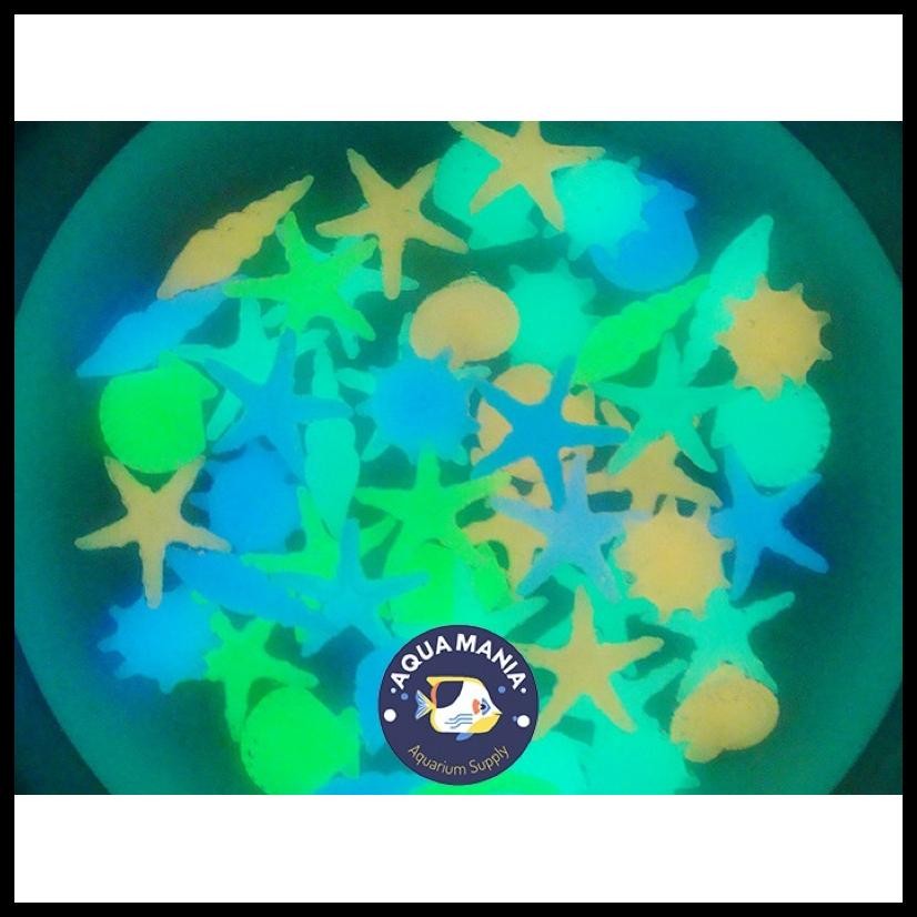 [10 PCS] MINIATUR HEWAN LAUT GLOW IN THE DARK HIASAN AQUARIUM SIMULASI KERANG KEONG BINTANG LAUT MEN