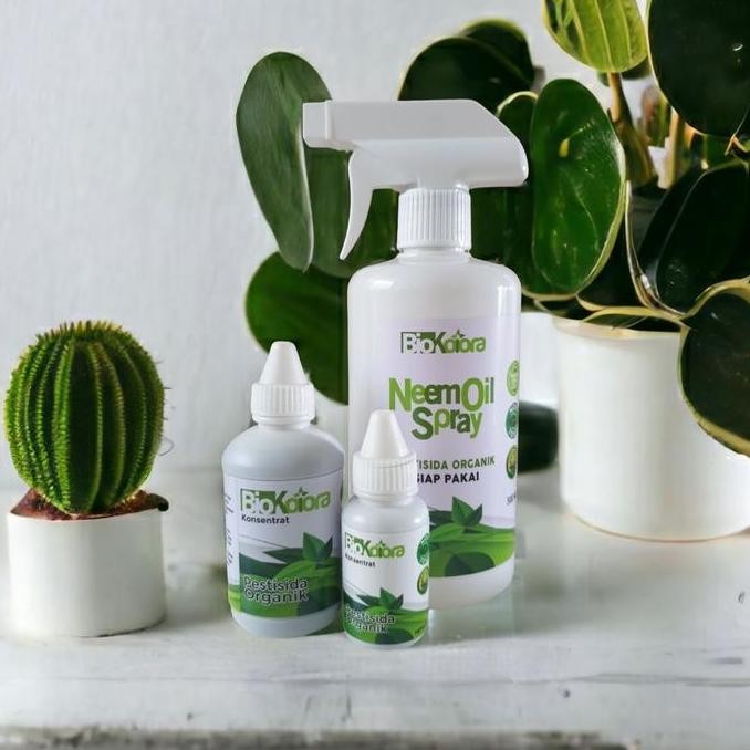 baru Pestisida Organik Untuk Ulat Daun Membasmi Hama Kutu Penyakit Tanaman