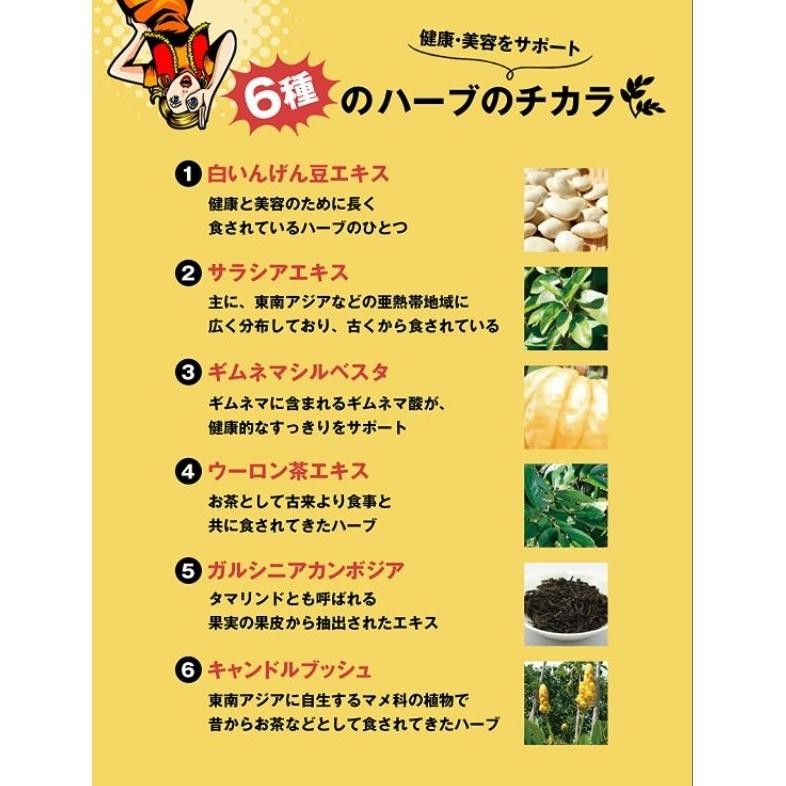 SVELTY 3 Kali Kapsul Enzim Premium Pakkun 56 Kapsul dengan Probiotik (3X Daya Tiga Kali Lipat)