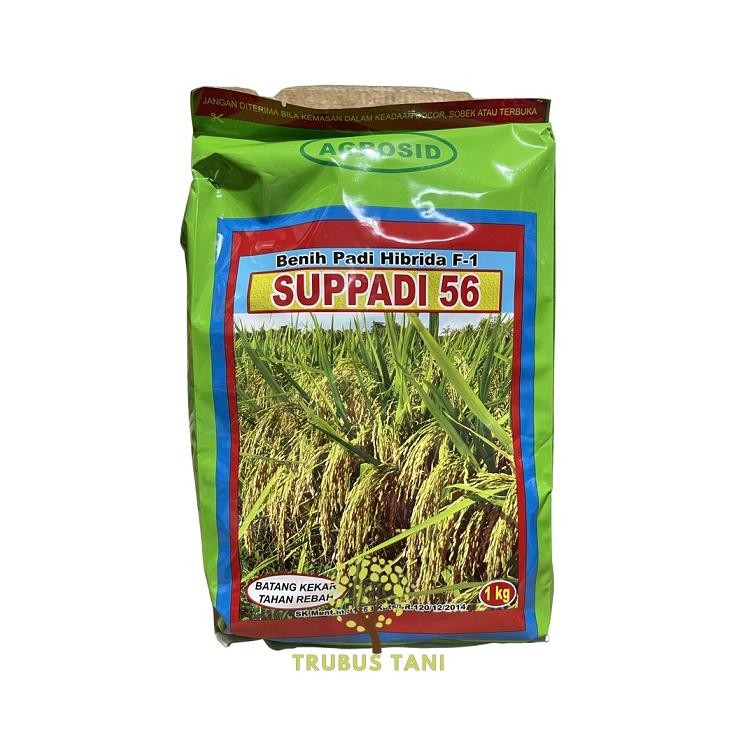 BENIH PADI HIBRIDA SUPADI 56 1KG