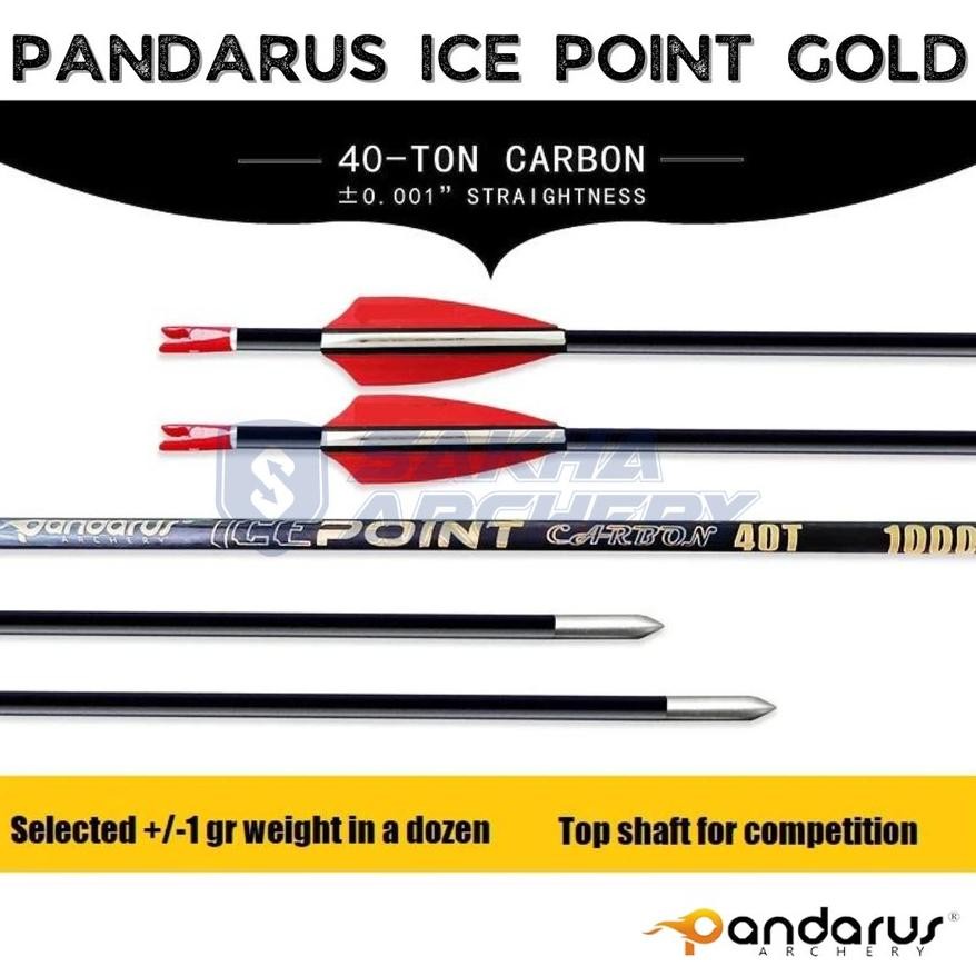 Arrow Pandarus Ice Point Gold Straightness 0.00 40T Carbon