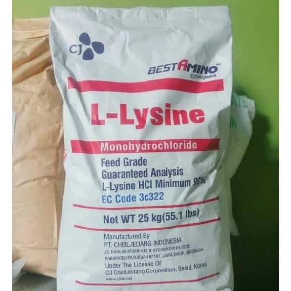 Lysine Asam amino hewan 25 kg / L-Lysine