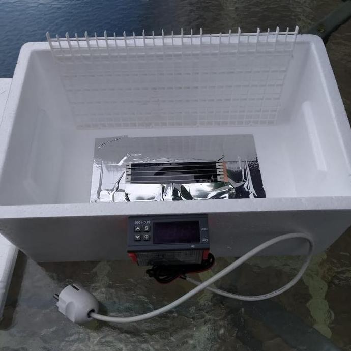 Inkubator Iguana / Incubator Bearded Dragon/ Inkubator Reptile Co