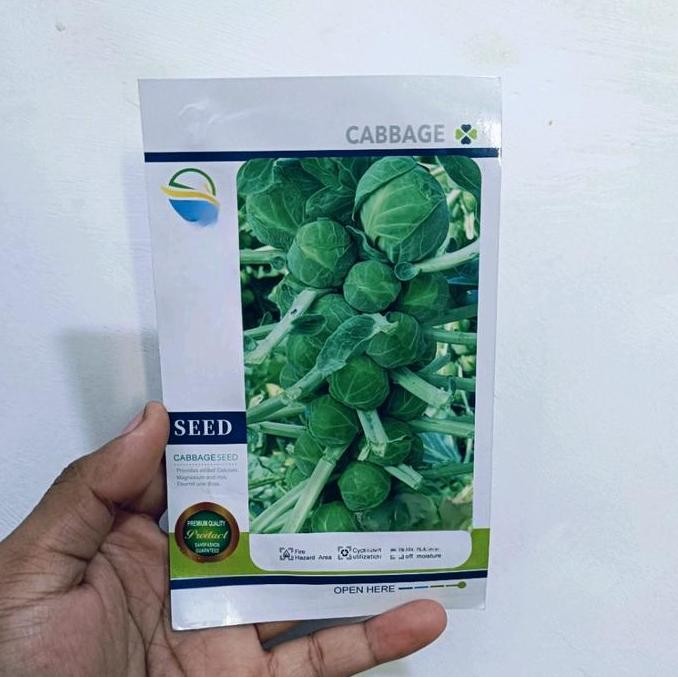 

fresh benih kubis Brussel asli jepang murah