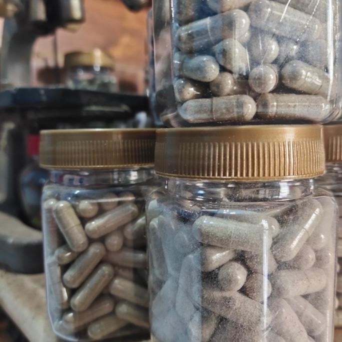 

(Expert) Kapsul Cacing Lumbricus isi 100 Kapsul