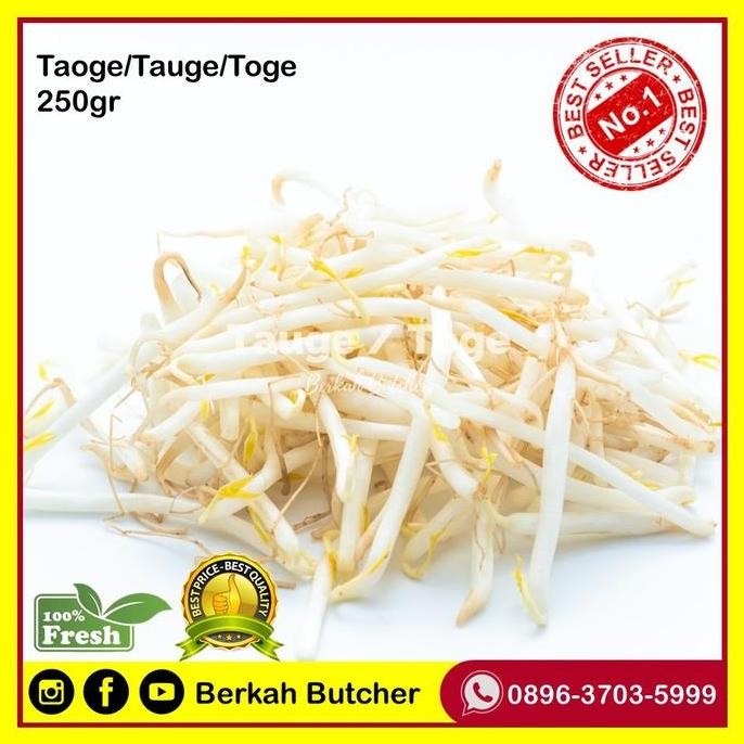 

Sayur Toge / Tauge Segar 250 gram - Berkah Butcher