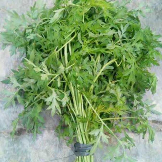 

Daun Kenikir Sayur Segar Fresh 1 ikat