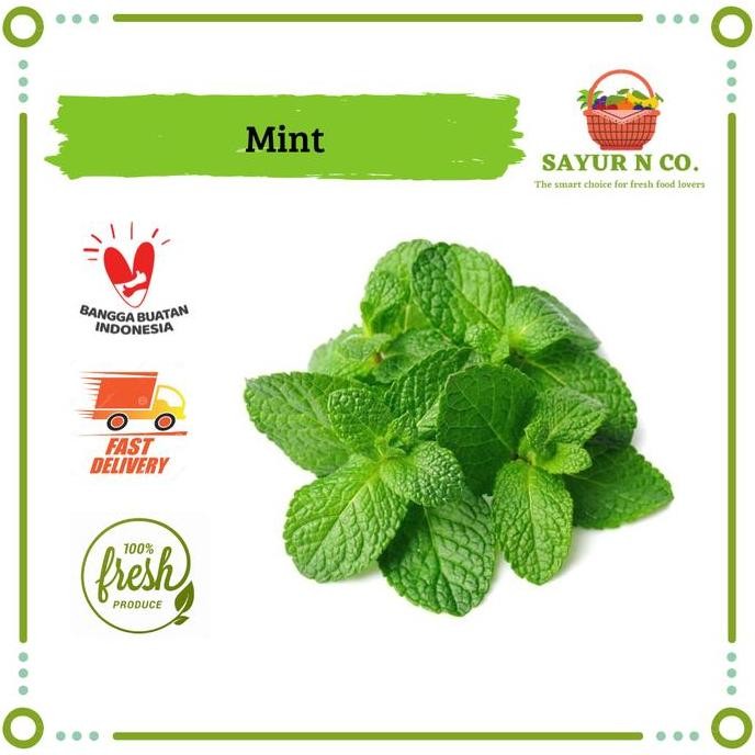 

Daun Mint Segar | Sayur N Co Bekasi