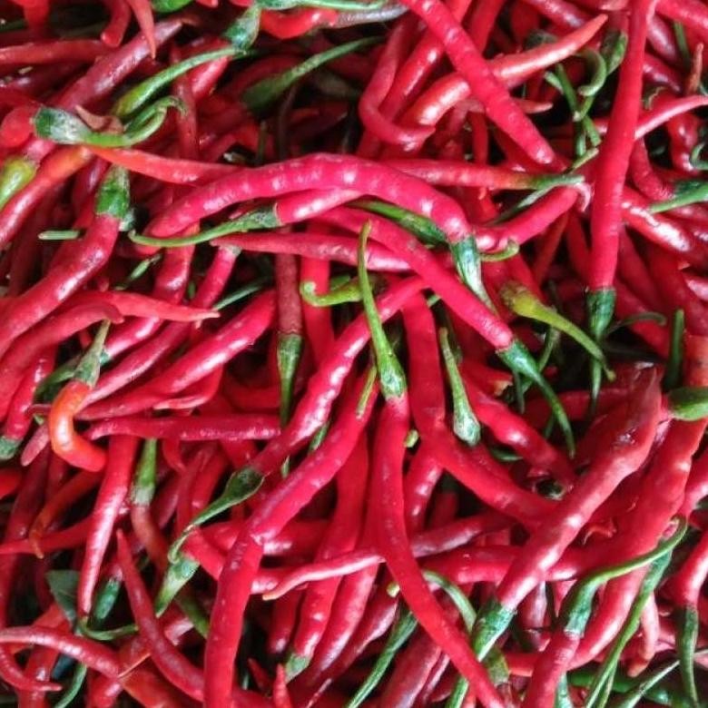 

cabe keriting merah 250gr