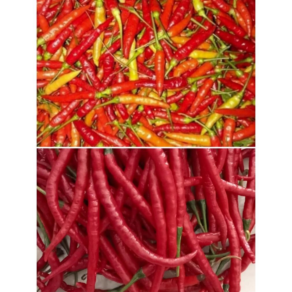 

Paket Cabe Campur Kriting Merah & Rawit Merah