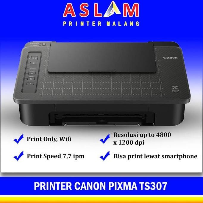 Printer Canon Pixma Ts307 Ts-307 Cartridge Pg745S Cl746S 745S 746S New Stok