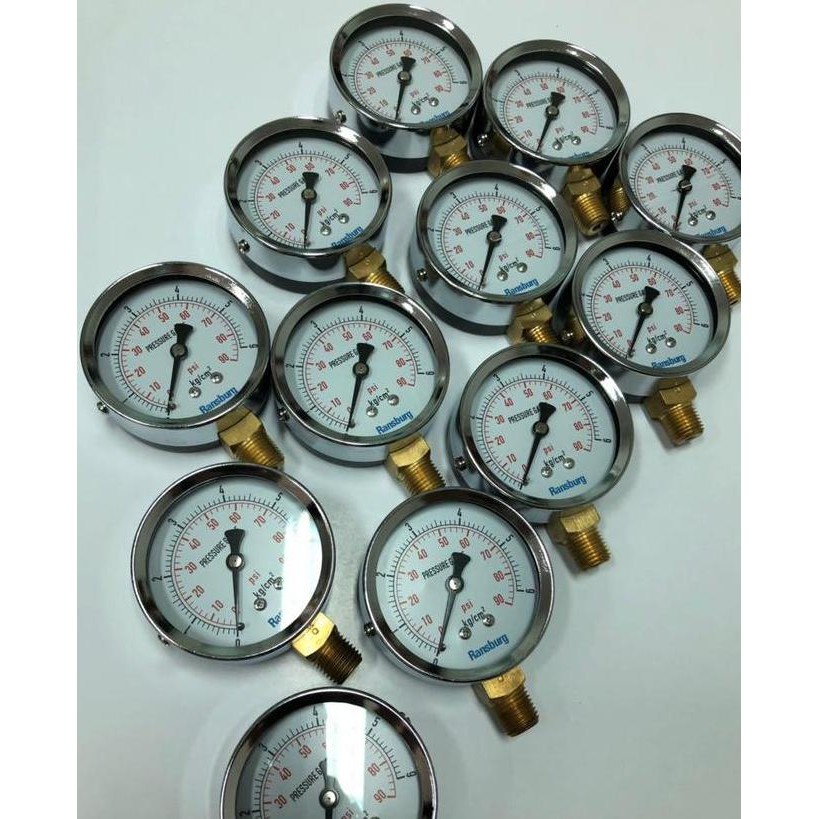 Pressure Gauge 6 Bar