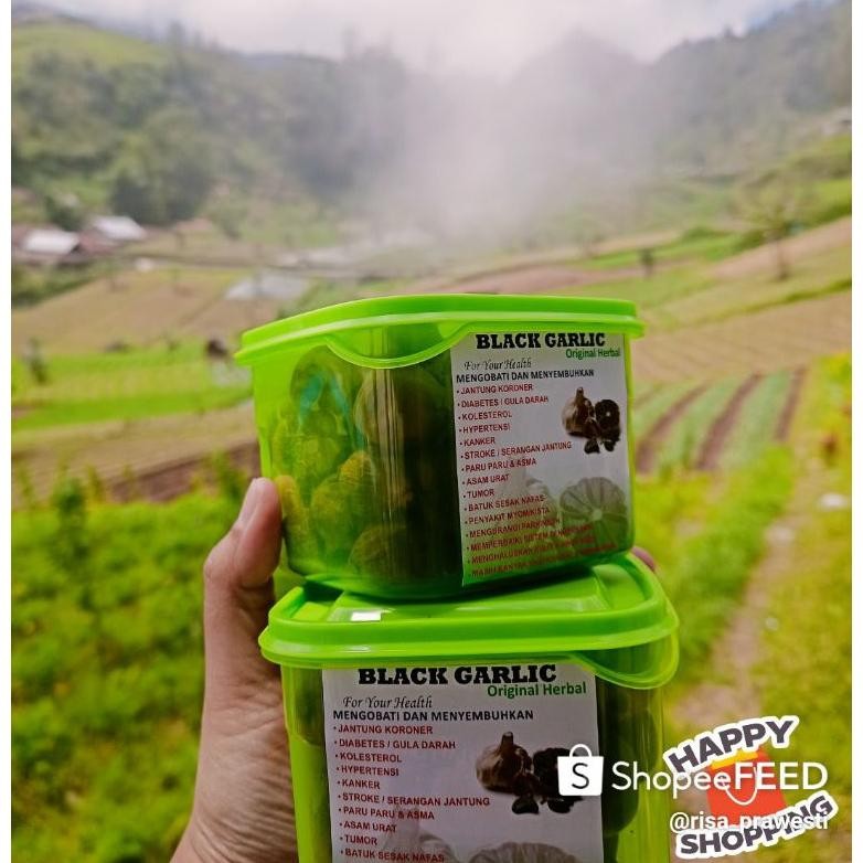 

Black Garlic Tunggal 500gram Anti Oksidan Tinggi