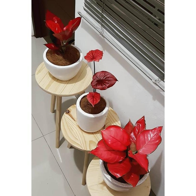 Coffee Table Minimalis Meja Bulat Kayu Solid Meja Tamu Bedside 1 Set Original Dan Terpercaya