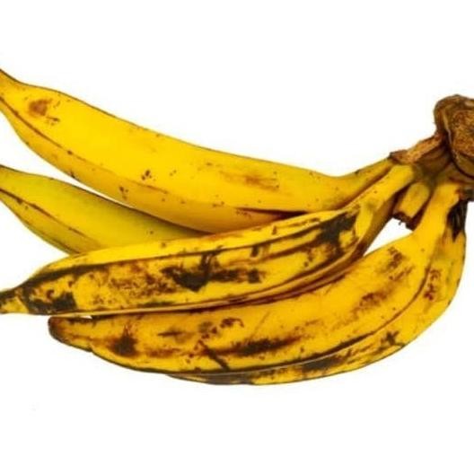 Bibit Pohon Pisang Tanduk / Buah Pisang Tanduk UNGGULAN SEGAR ATV