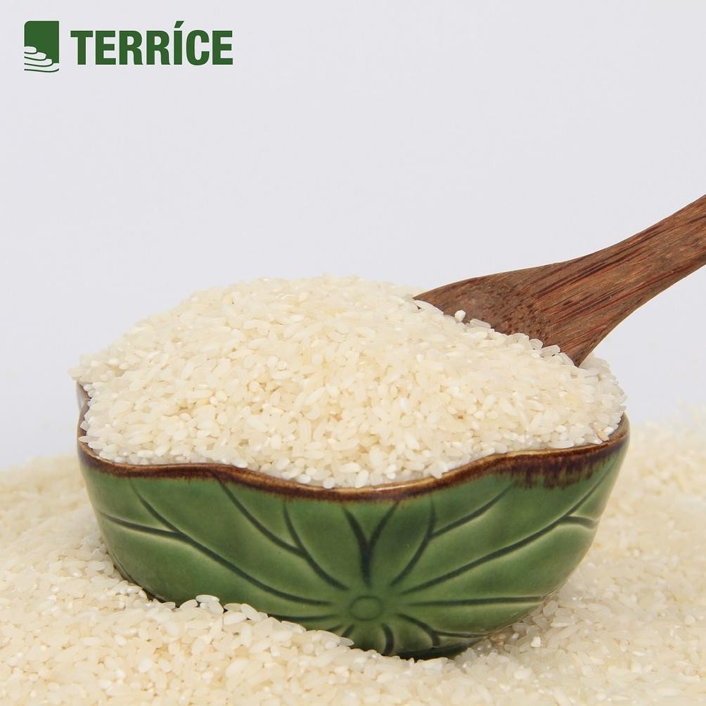 

ready TERRICE Beras Organik Diet Rendah Gula Kaya Serat Menthik Susu 1Kg murah