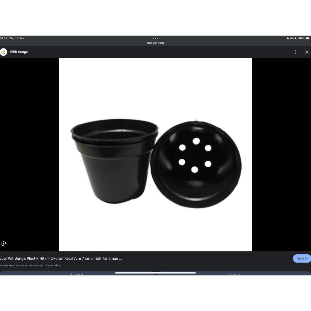 Pot Bunga Plastik 20Cm / Grosir Pot Bunga Ready