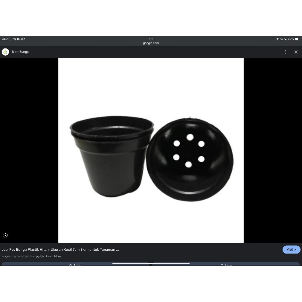 Pot Bibit Plastik 15Cm / Pot Grosir Bunga Trend