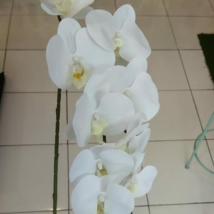 ready Anggrek latex putih / Anggrek bulan putih / Bunga anggrek artificial