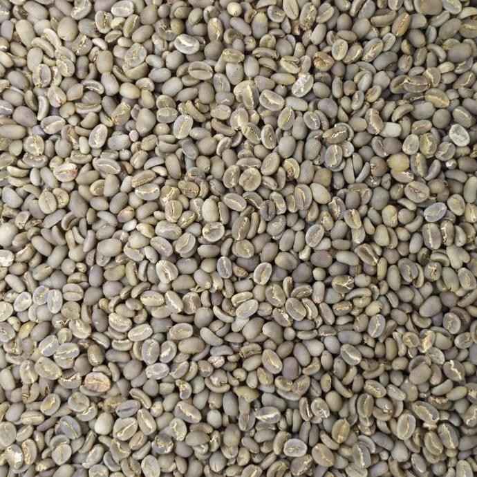 

[[ VELCRO / GREEN BEAN KOPI MENTAH ARABIKA TORAJA ENREKANG SEMI WASH GRADE 1 - 1KG BEST SELLER