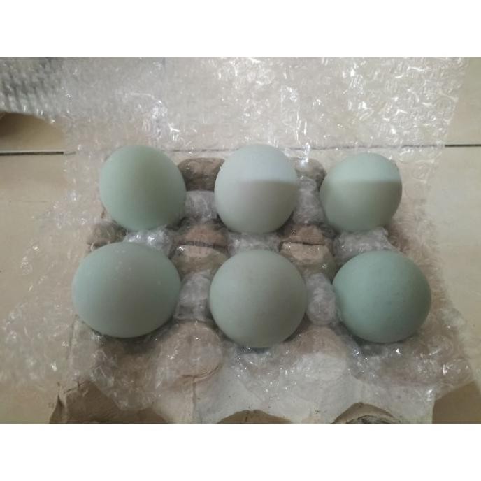 

(Expert) PAKET WOW TELUR ASIN (15 butir) BACA DESKRIPSI !!!