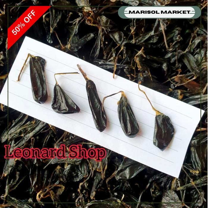 

EMPEDU ULAR COBRA ASLI (HERBAL) PROMO TERBARU