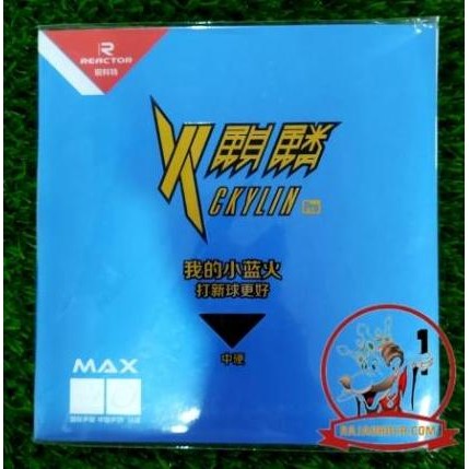 Terlaris Karet Tenis Meja Reactor Ckylin Pro Blue Sponge