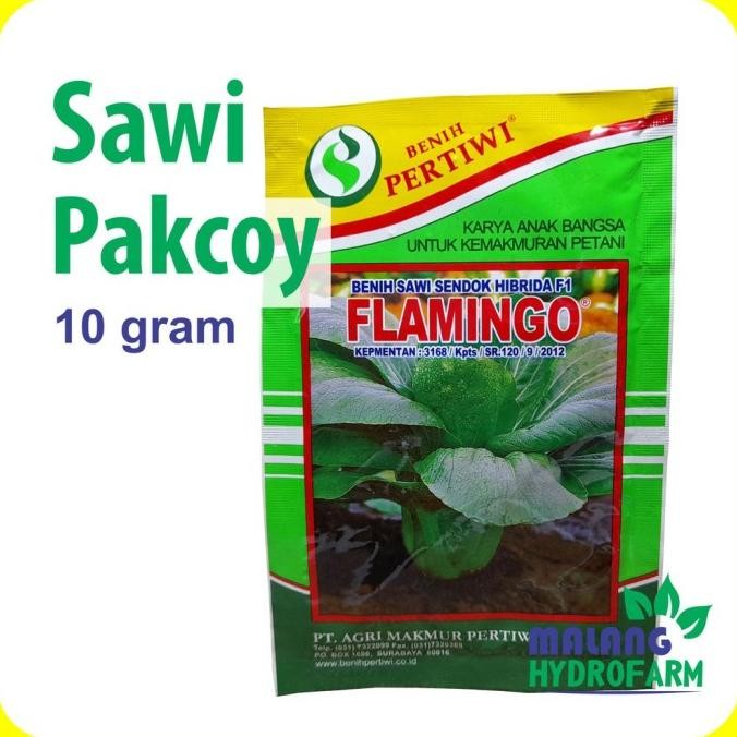 HARG4A DI BANTING TERBARU Benih Sawi Pakcoy Flamingo 10 gram Pertiwi