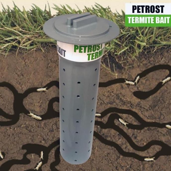 Umpan Rayap Paling Ampuh / Obat Anti Rayap Basmi Sampai Ratu