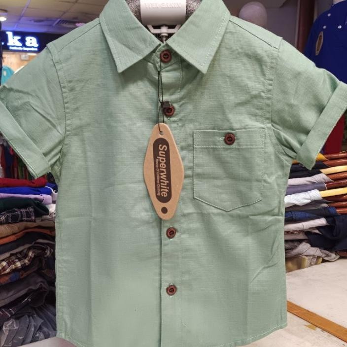 Kemeja Anak Lengan Pendek Polos Sage Green