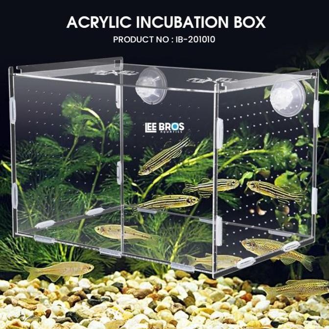 Acrylic Incubation Box / Isolation Box / Akrilik Karantina Ikan