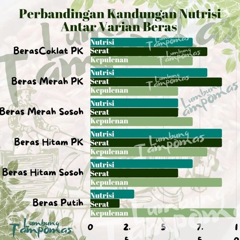 

Beras Merah Pandan Wangi Lumbung Tampomas 2Kg RB10