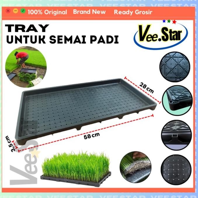 [Expert] Tray Semai Bibit Padi / Rice Seedling Tray