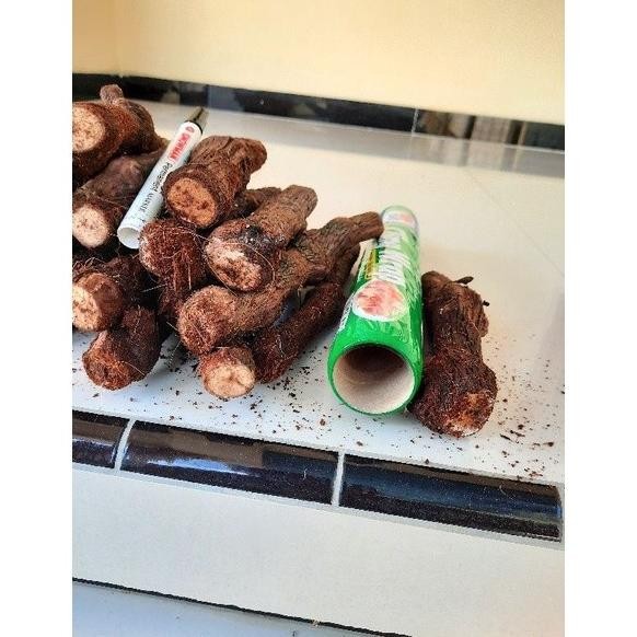 [Expert] Cutting Anggur SUper Besar KALUS