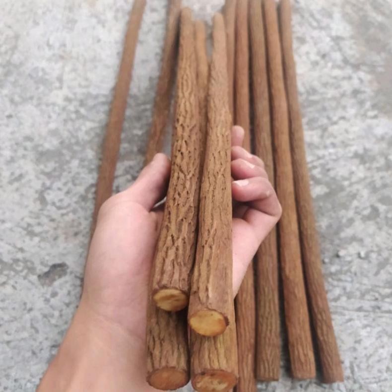 Sepasang Tangkringan Asam Jawa Super Grade A 65Cm Ukuran Murai Kacer Kenari Cucak Ijo Pentet Plangkr