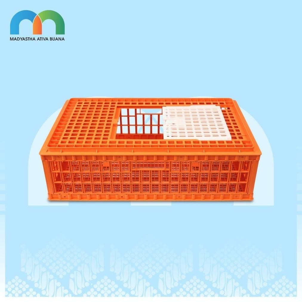 Medion Keranjang Ayam Besar (KRAB) AST