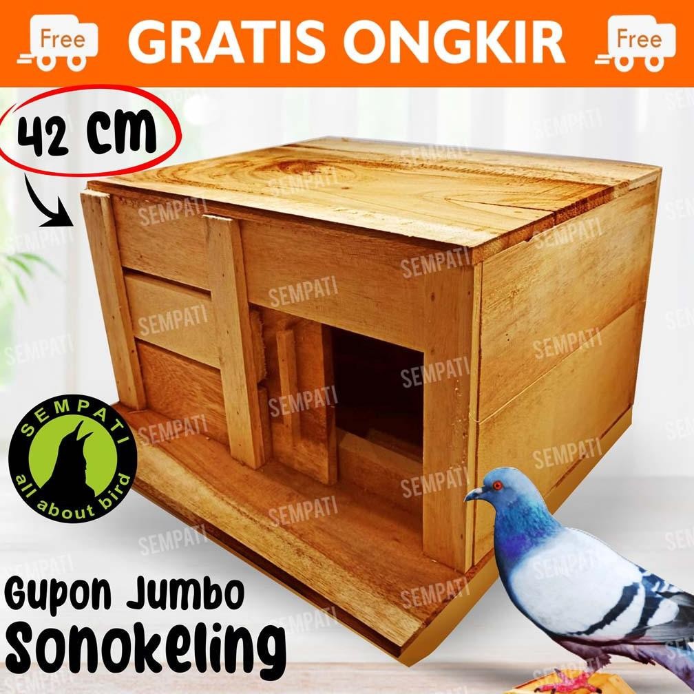 SEMPATI KANDANG TONG GUPON PAGUPON BURUNG MERPATI DORO DARA KOLONGAN BALAP TOMPRANG SANGKAR SARANG G