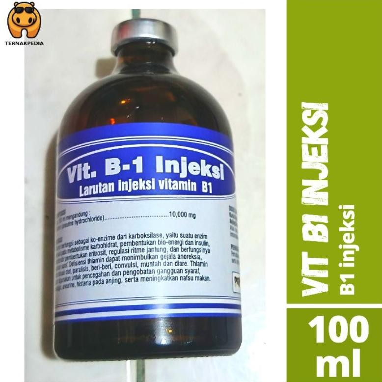 READY STOK Vit B1 injeksi - Obat Lumpuh - B1 100ml- Obat Hewan Siap kirim