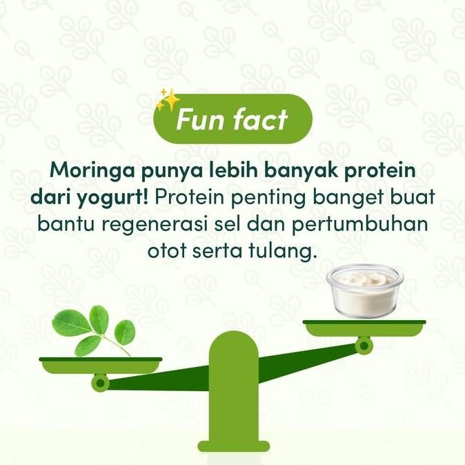 

Dari Bumi - Daun Kelor Moringa Bubuk Organik 400 Gr Premium Pure Organic LJM