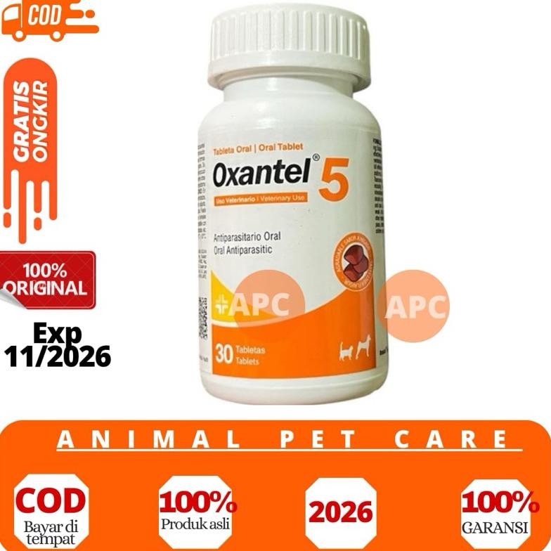 TERLARIS OXANTEL Obat Cacing Anjing Kucing (Mirip drontal) Siap kirim